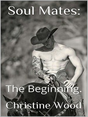 cover image of Soul Mates. the Beginning.